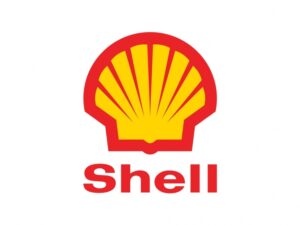 269_shell